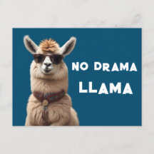 Sem Drama Llama Legal Alpaca Veste Óculos escuros 