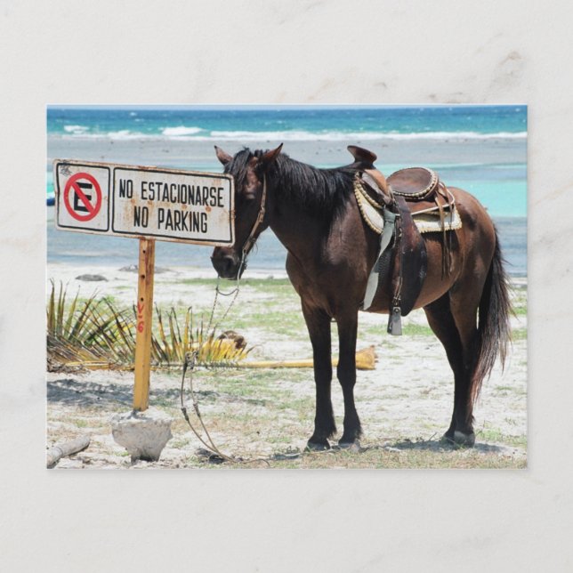 Cartão Postal Sem estacionamento (Frente)