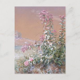 Cartão Postal Sem título   Fidelia Bridges