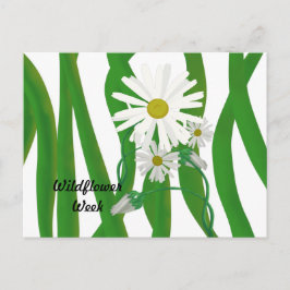 Cartão Postal Semana da Flor Silvestre Margarida
