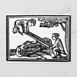 Cartão Postal Semente