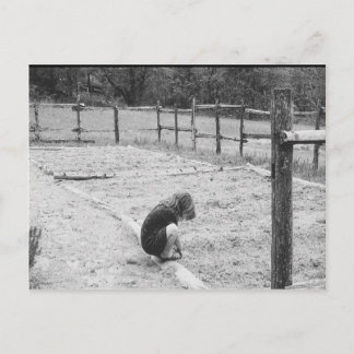 Cartão Postal Semente do Amor