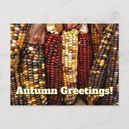 Cartão Postal Sementes Coloridas de Milho Indiano