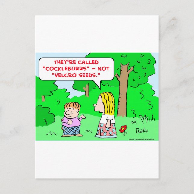 Cartão Postal sementes de velcro (Frente)