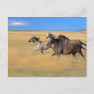 Cartão Postal Seneca, Oregon, EUA