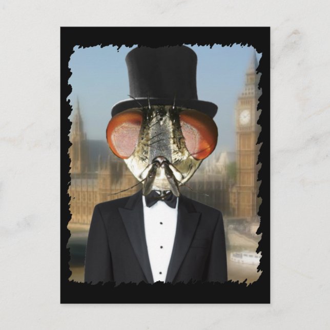 Cartão Postal Senhor das Moscas (Frente)