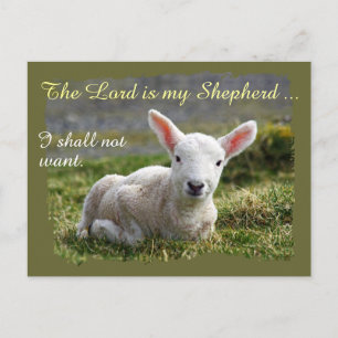 Cartão Postal Senhor é meu Vazio de Shepherd Little White Lamb