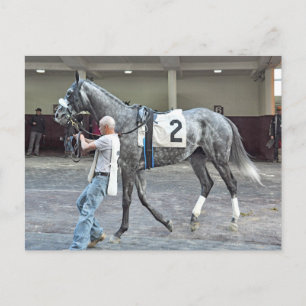 Cartão Postal Senhor Monolo