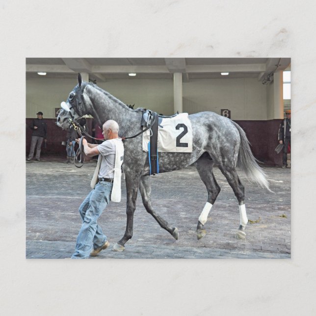 Cartão Postal Senhor Monolo (Frente)