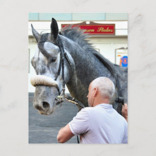 Cartão Postal Senhor Monolo