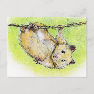 Cartão Postal Senhor Presunto