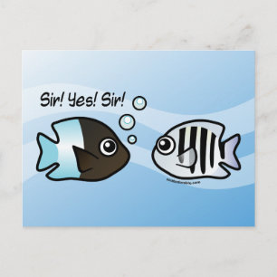 Cartão Postal Senhor! Sim! Senhor!