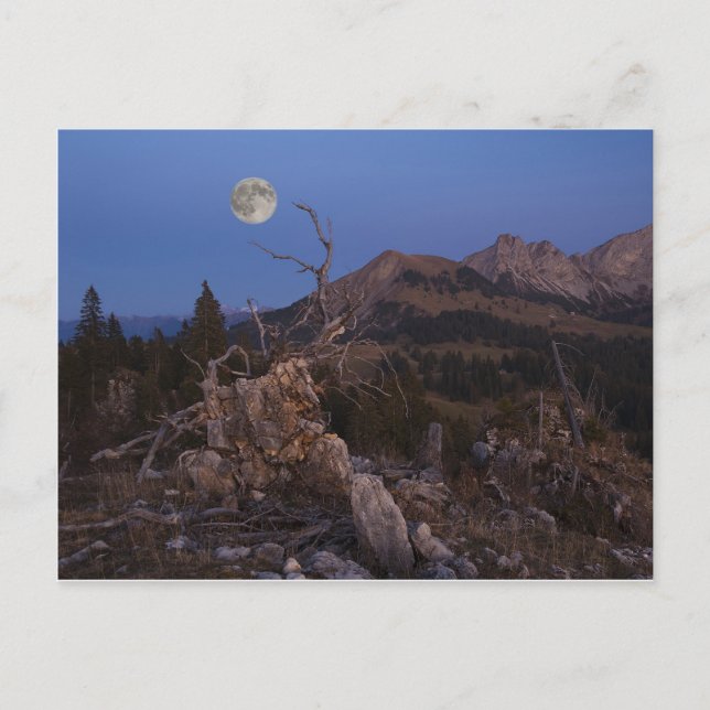 Cartão Postal Senhora Da Noite (Frente)