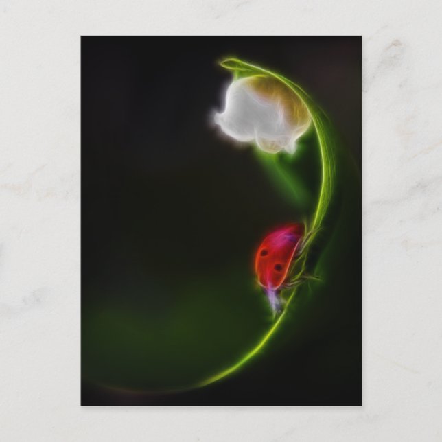 Cartão Postal Senhora do Vale (Frente)