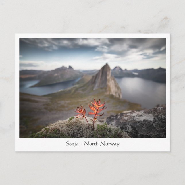Cartão Postal Senja Norway (Frente)