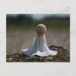 Cartão Postal Sensueel gehuld poppetje in een bloemen jurkje.