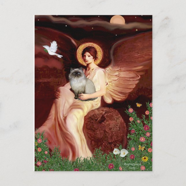 Cartão Postal Sentado Angel - Himalaia gato 7 (Frente)