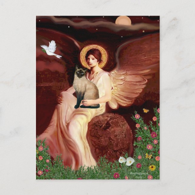 Cartão Postal Sentado Angel - Seal Point Gato siamês (Frente)