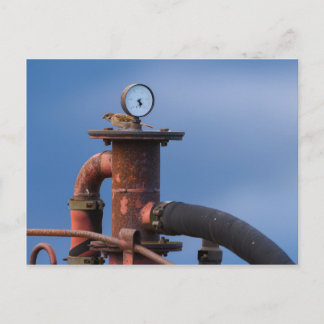 Cartão Postal Sentado sobre um cartão-postal vermelho