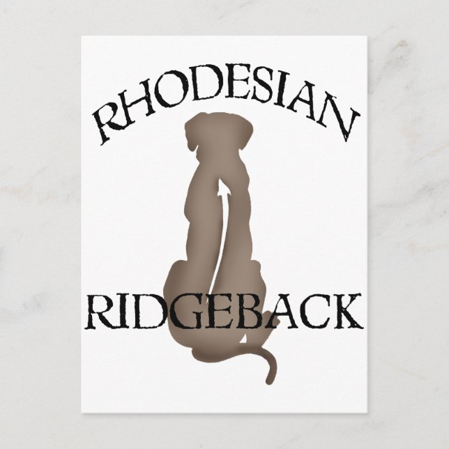 Cartão Postal Sentando Ridgeback da Rodésia com Texto (Frente)