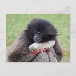 Cartão Postal sente saudades