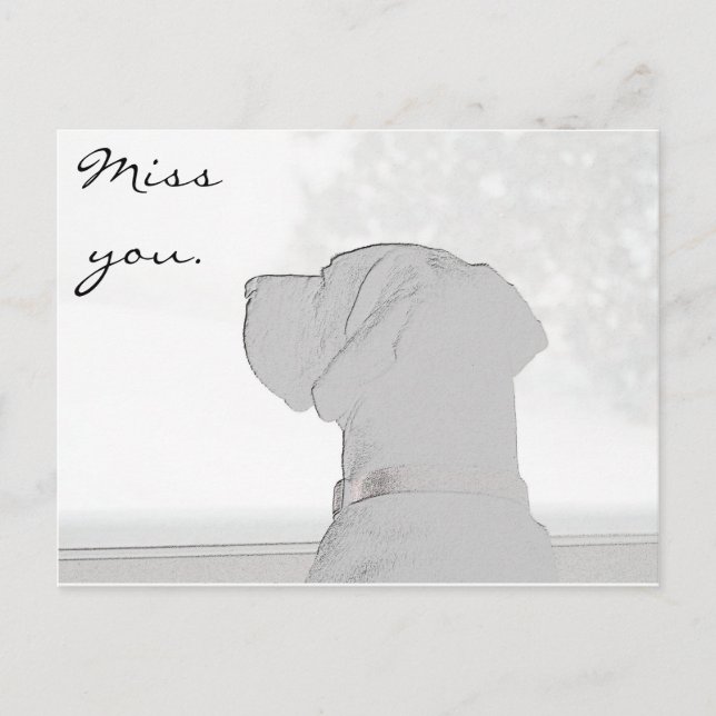 Cartão Postal Sente sua falta. (Frente)