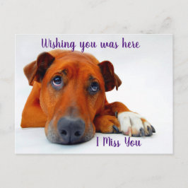 Cartão Postal Sentido sua falta