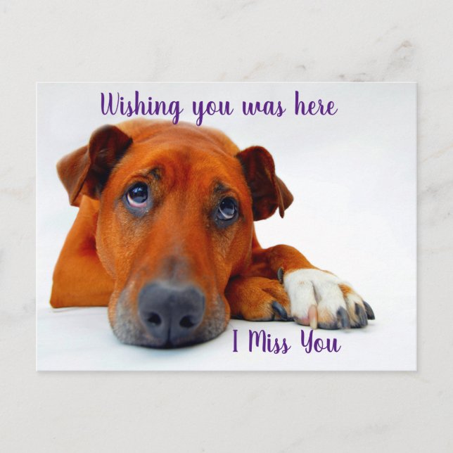 Cartão Postal Sentido sua falta (Frente)