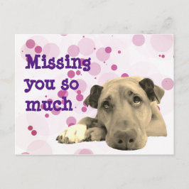Cartão Postal Sentido sua falta, cão triste