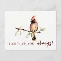 Sentimental Estou Com Você Sempre Cardinal Vermelh