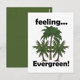 Cartão Postal Sentimento de Palmeira Sempre Verde Tropical Anive