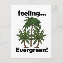 Cartão Postal Sentimento de Palmeira Sempre Verde Tropical Anive