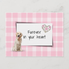 Cartão Postal Sentimento de perda de animal de estimação Golden 