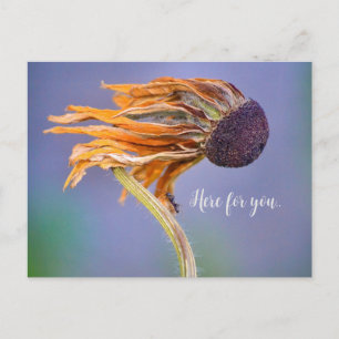 Cartão Postal Sentimento de preocupação de cuidado aqui para voc