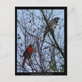 Cartão Postal Sentinelas Blue Jay e Cardinal por Lee Hiller