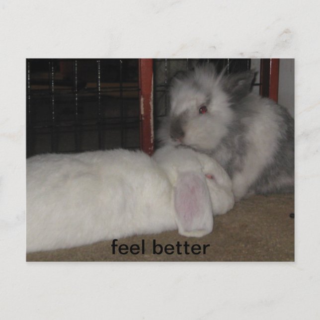 Cartão Postal sentir-se melhor (Frente)