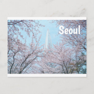 Cartão Postal Seoul Cherry Blossom