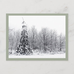 Cartão Postal separação com certeza