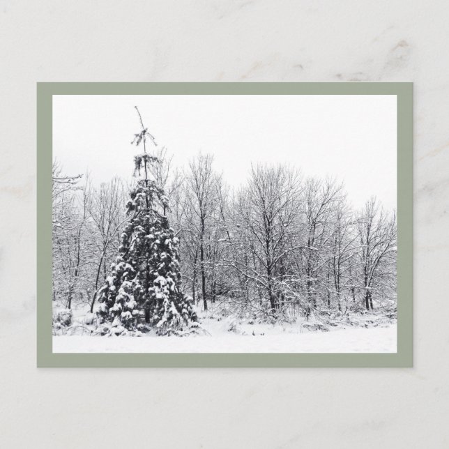 Cartão Postal separação com certeza (Frente)