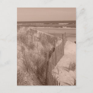 Cartão Postal Sépia Beach Scene