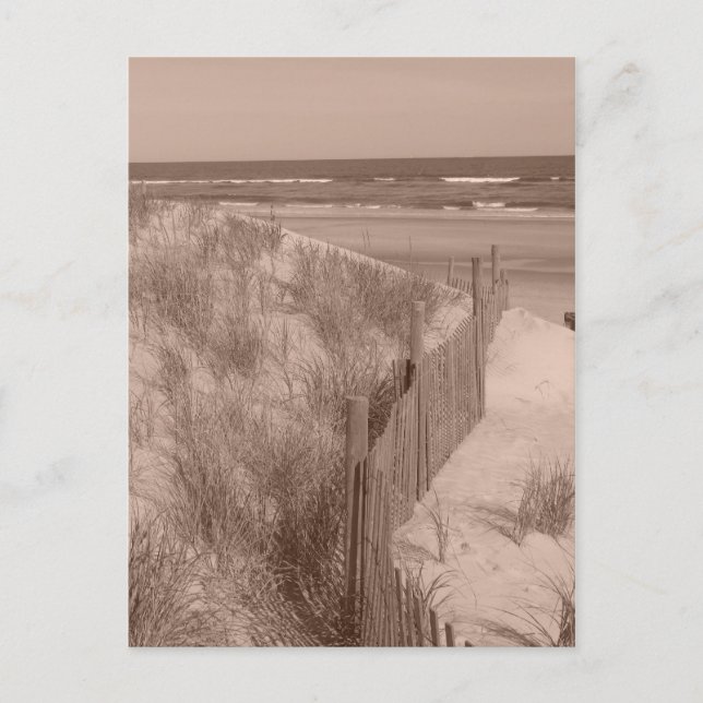 Cartão Postal Sépia Beach Scene (Frente)