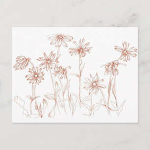 Cartão Postal Sepia Daisies Desenho de Caneta e Flower de Tinta