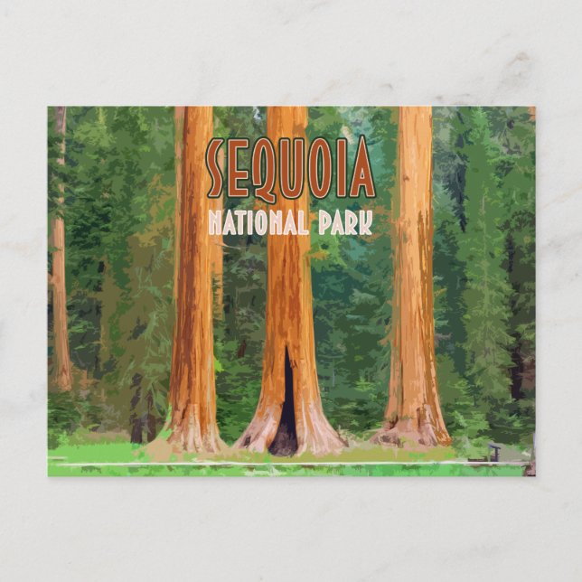 Cartão Postal Sequoia National Park California Vintage (Frente)