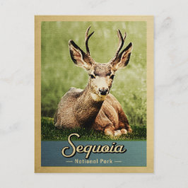 Cartão Postal Sequoia National Park Deer Viagens vintage