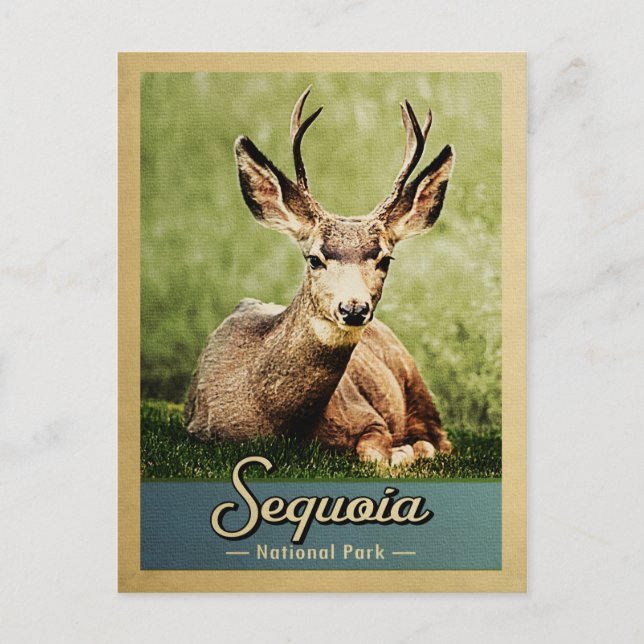 Cartão Postal Sequoia National Park Deer Viagens vintage (Frente)