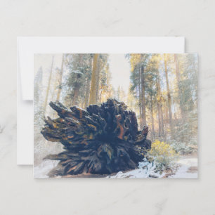 Cartão Postal Sequoia National Park Forest