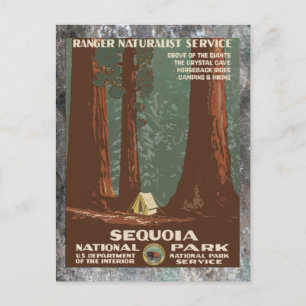 Cartão Postal Sequoia National ParkVintage viagem