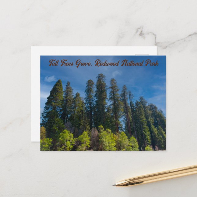 Cartão Postal Sequoia Parque Nacional Árvores Altas (Frente/Verso In Situ)