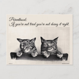 Cartão Postal Ser Cansado e Ser Pai, Gatos Sonolentos