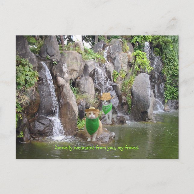Cartão Postal Serene Bubba (Frente)